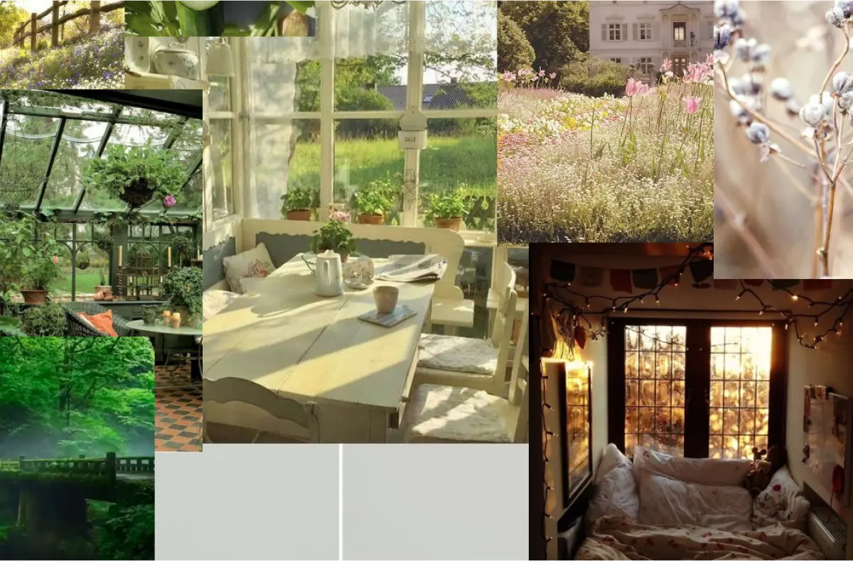 A moodboard with images of nature, warm outdoors, and sunlight coming through windows